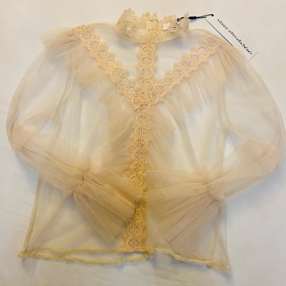 NWT LIFE mesh sheer Victorian long sleeve Top